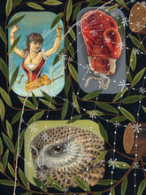 Load image into Gallery viewer, The Perceptions Of Quiet Girls