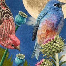 Load image into Gallery viewer, Perches