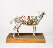 Load image into Gallery viewer, Albino Deer