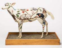 Load image into Gallery viewer, Albino Deer