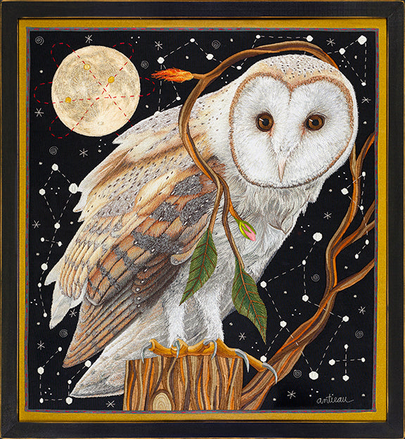 Northern Saw-Whet Owl Fine Art Linoleum Block Letterpress Print – Moon  Rabbit Press