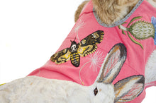 Load image into Gallery viewer, Deer Head