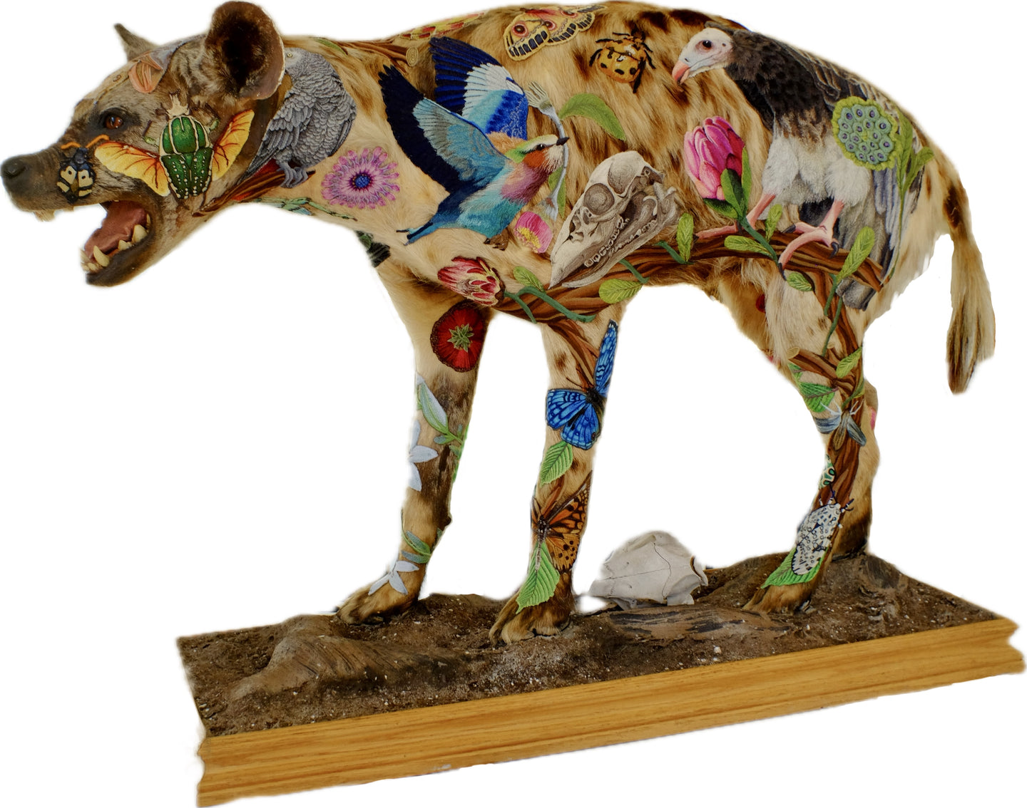 Hyena
